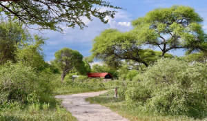  Vacation Hub International | Tshima Bush Camp Room
