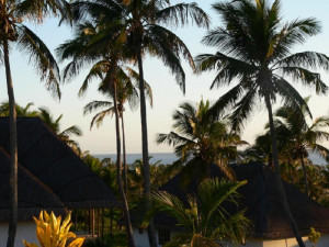  Vacation Hub International | Blue Moon Beach Holiday Resort Room