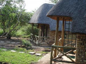 Vacation Hub International | Lion's Lair Room