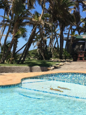  Vacation Hub International | Seagulls Beach Hotel Room