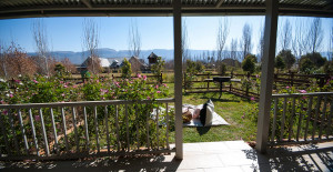  Vacation Hub International | The Meadows At Millstream Room
