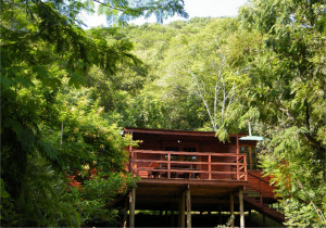 Vacation Hub International | Mankele Accommodation - Log Cabins Room