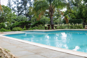  Vacation Hub International | Citrus Creek Chalets and Camping Resort Room