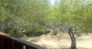  Vacation Hub International | Hakuna Matata- Marloth Park Room