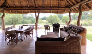  Vacation Hub International | Zebula 115 Room
