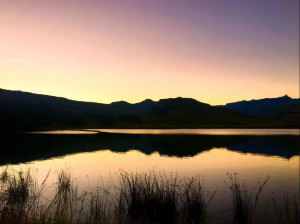  Vacation Hub International | Giantscup Wilderness Reserve Room