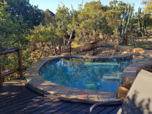  Vacation Hub International | Bona Kgole Private Game Lodge-Mabalingwe Room