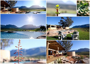  Vacation Hub International | Oudebosch Mountain Escape Room