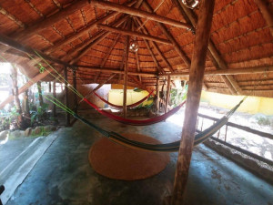  Vacation Hub International | Pumusa Bushcamp Room
