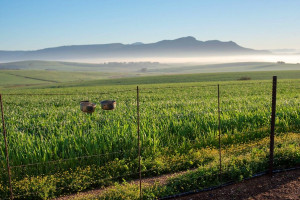  Vacation Hub International | Vleidam Guest Farm Room