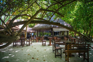  Vacation Hub International | Biyadhoo Island Resort Room