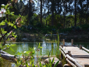  Vacation Hub International | Addo African Home Room