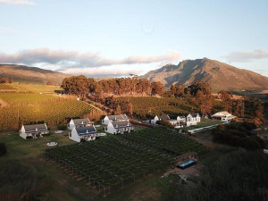  Vacation Hub International | Endless Vineyards at Wildekrans Wine Estate Room