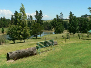  Vacation Hub International | Troutbagger Farm Room