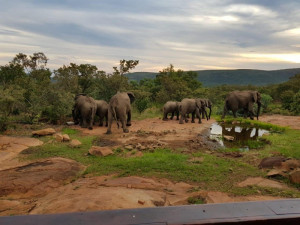  Vacation Hub International | Valley Farm Lodge, Mabalingwe Room