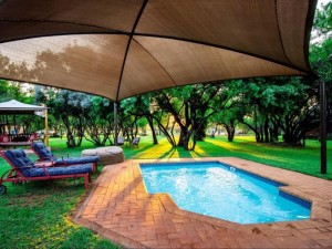  Vacation Hub International | Bush Babies Lodge Room