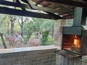 Vacation Hub International | Hout huisie and Klein Huisie Self Catering Accommodation Room