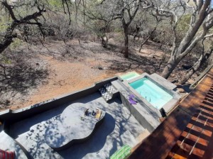  Vacation Hub International | African Bush Escape Room