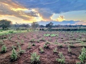  Vacation Hub International | The Barn at Tembele Room
