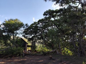  Vacation Hub International | Bethesda Mountain Lodge Room