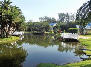  Vacation Hub International | 44 Montego Bay Caribbean Estates Room