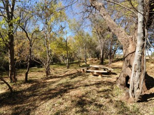  Vacation Hub International | Puschka Farm Room