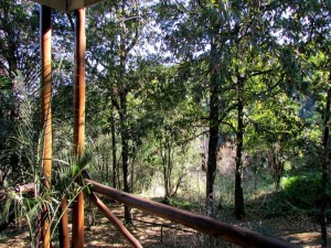  Vacation Hub International | Old Pine Cabin Karkloof Room