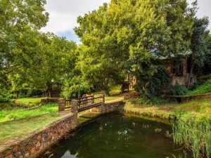 Vacation Hub International | Paardeplaats Nature Retreat Room