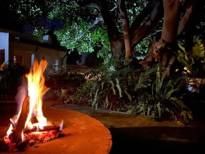  Vacation Hub International | La Bella B&B Under the Fig Tree Room
