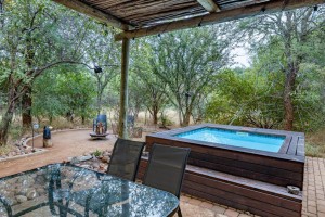  Vacation Hub International | Wildheart Safari - Zesty Zebra Room